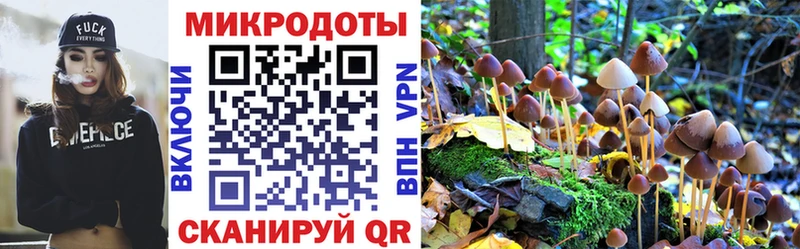 Галлюциногенные грибы ЛСД Певек